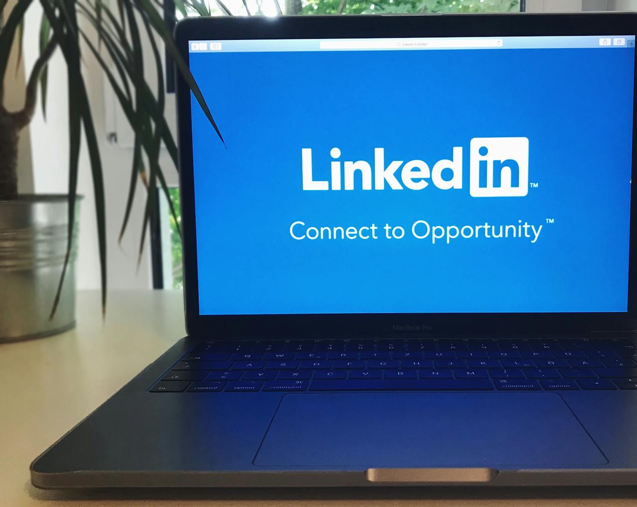 Como Usar o LinkedIn com Paula Tebett